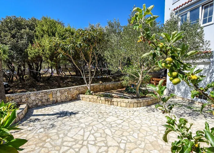 Ned Апартаменты